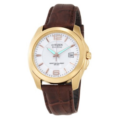 https://www.watcheo.fr/1831-13344-thickbox/citizen-calendrier-perpa-copy-tuel-bl1223-07a-montre-homme.jpg