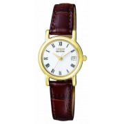 Citizen Eco drive Montre
