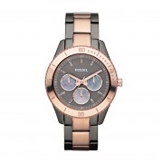 Montre Fossil ES3030 Femme