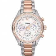 Montre Fossil CH2797 Femme