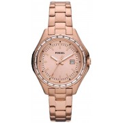 Montre Fossil AM4398 Femme