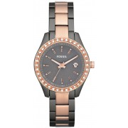 Montre Fossil ES3032 Femme