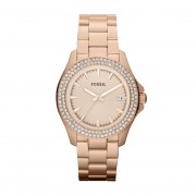 Montre Fossil AM4454 Femme